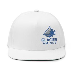 Glacier Aminos Embroidered Flat Bill Cap