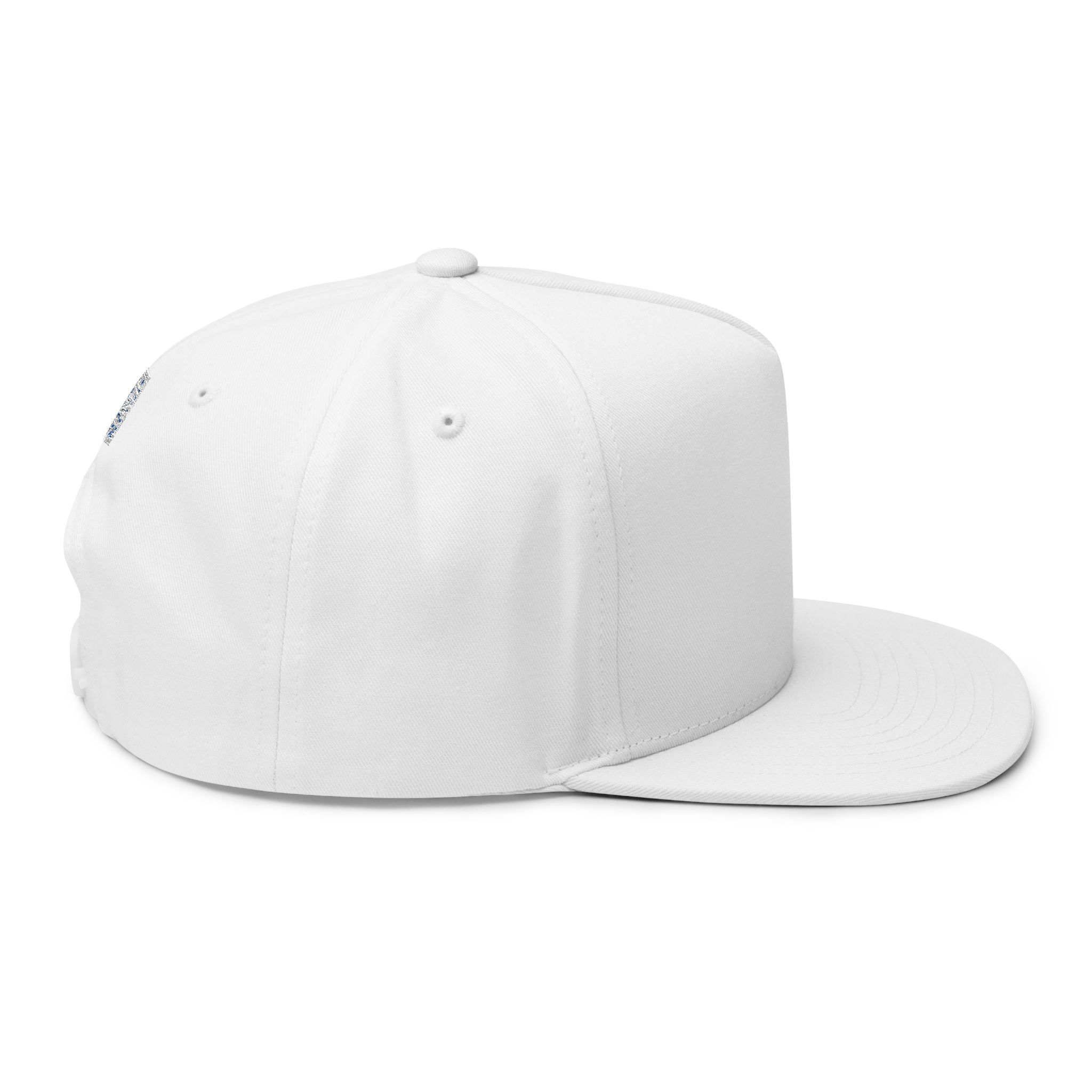 Glacier Aminos Embroidered Flat Bill Cap - Image 4
