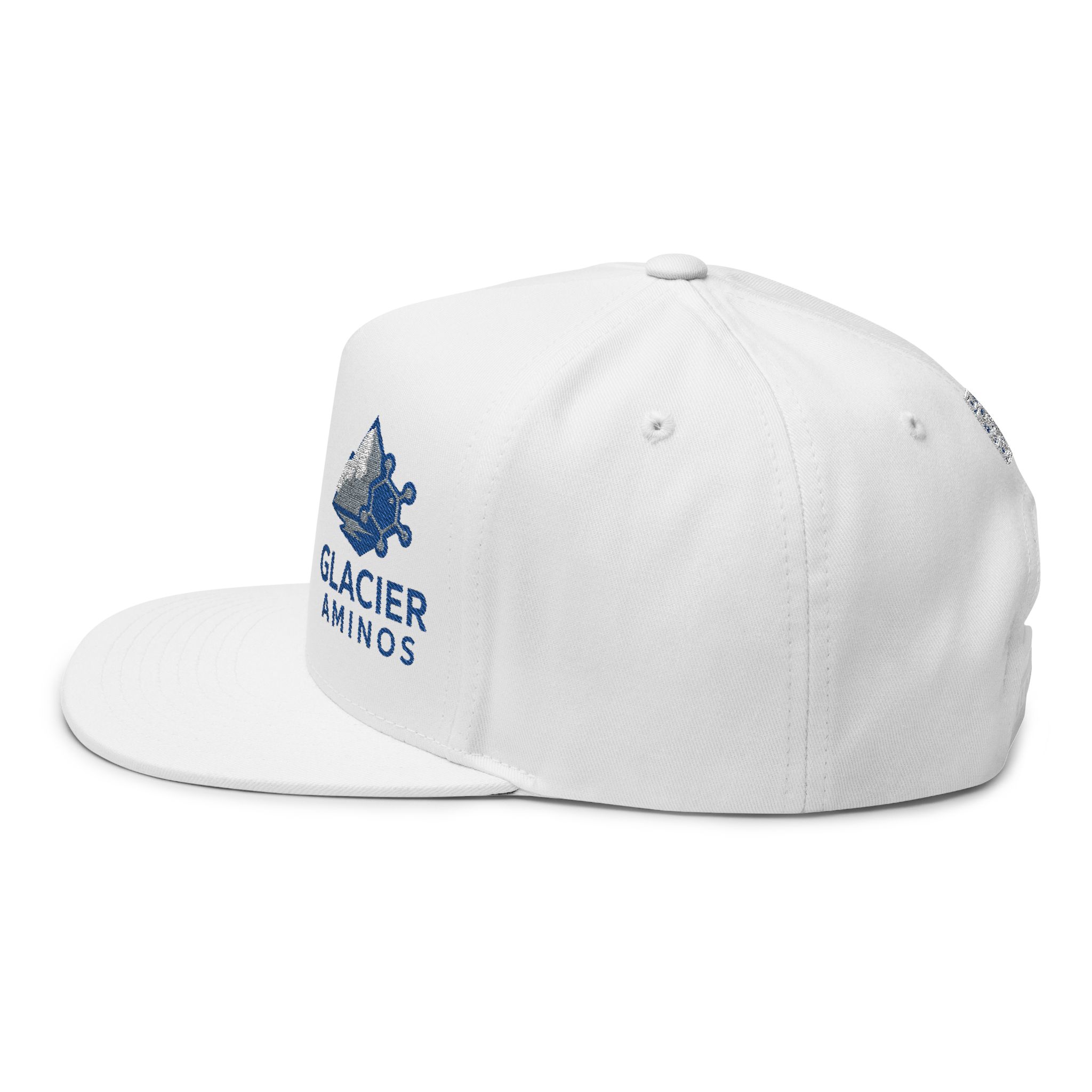 Glacier Aminos Embroidered Flat Bill Cap - Image 3